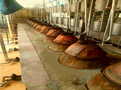 عرقیات گیاهی